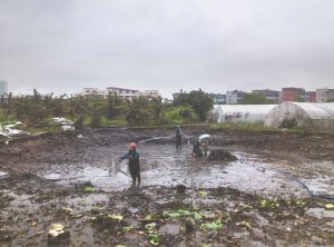 沧州河道鱼塘清淤